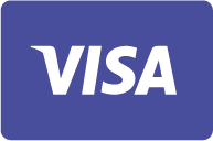Visa Payment Icon